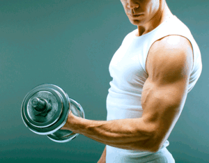 La Construcción De Músculo Dieta - ¿Qué Comer?